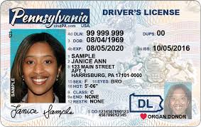 we renew drivers licenses