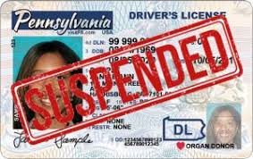 we restore drivers licenses